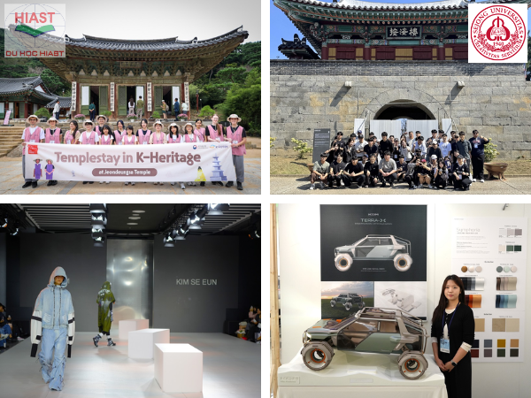 trường đại học sejong hàn quốc