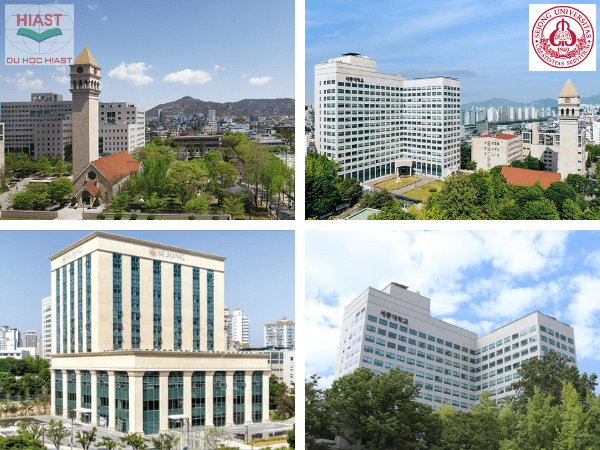 trường đại học sejong