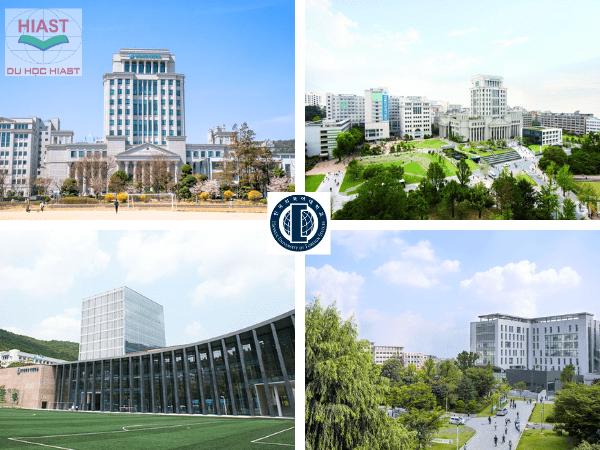 Đại học Ngoại ngữ Hankuk Top mấy