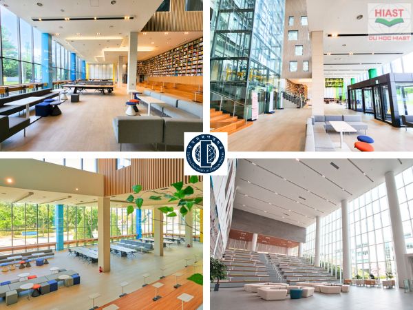 Review Đại học Ngoại ngữ Hankuk