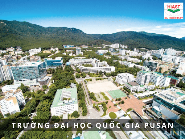 trường đại học miền nam hàn quốc