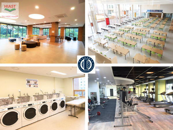 Trường Đại học Ngoại ngữ Hankuk Hàn Quốc