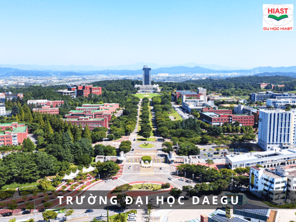 trường đại học ở miền nam hàn quốc