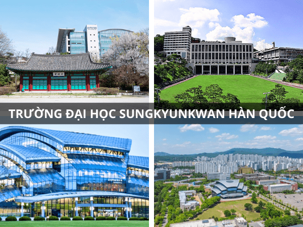 danh sách các trường đại học ở seoul hàn quốc