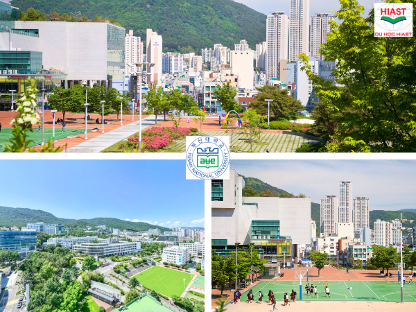 học bổng đại học quốc gia pusan