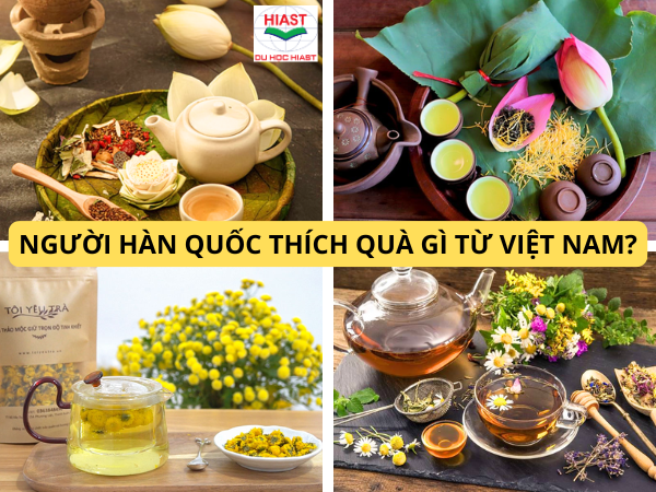 người hàn quốc thích quà gì từ việt nam