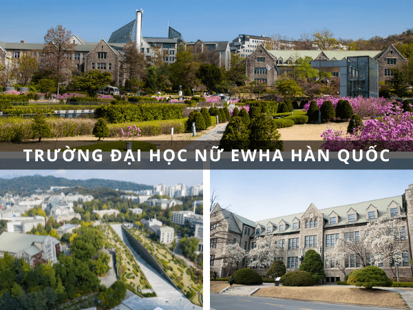 trường Đại học tốt ở Seoul
