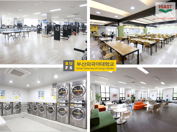 Busan University of Foreign Studies