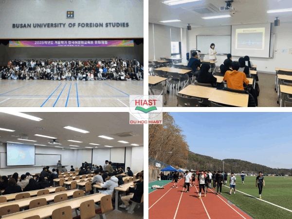 đại học ngoại ngữ busan hoc bong