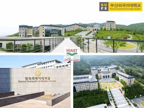trường đại học ngoại ngữ busan