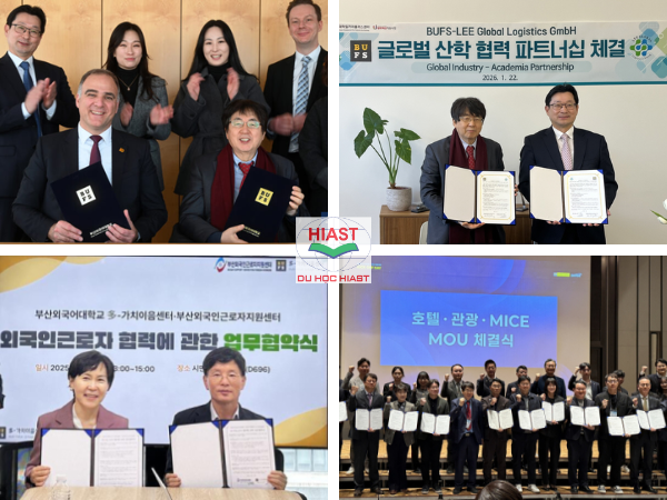 trường đại học ngoại ngữ ở busan