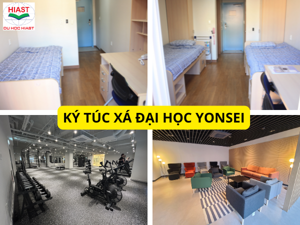 các ngành đại học yonsei
