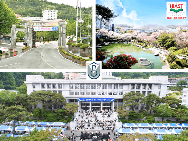 Đại học kyungnam top mấy