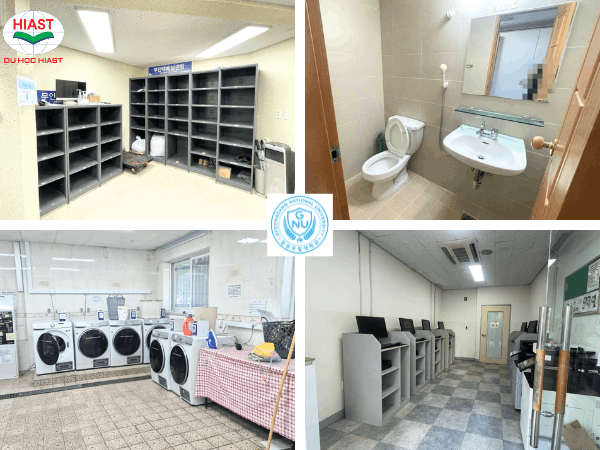 Đại học Quốc gia Gyeongsang ở đâu