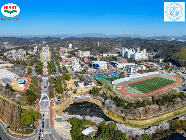 Đại học Quốc gia Gyeongsang