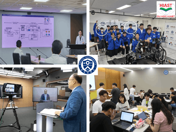 đại học yonsei chuyên ngành