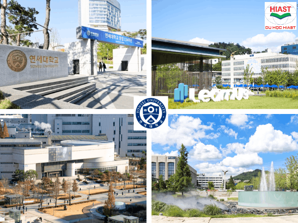 đại học yonsei hàn quốc