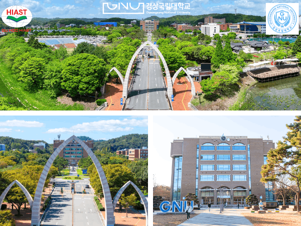 Trường Đại học Quốc gia Gyeongsang