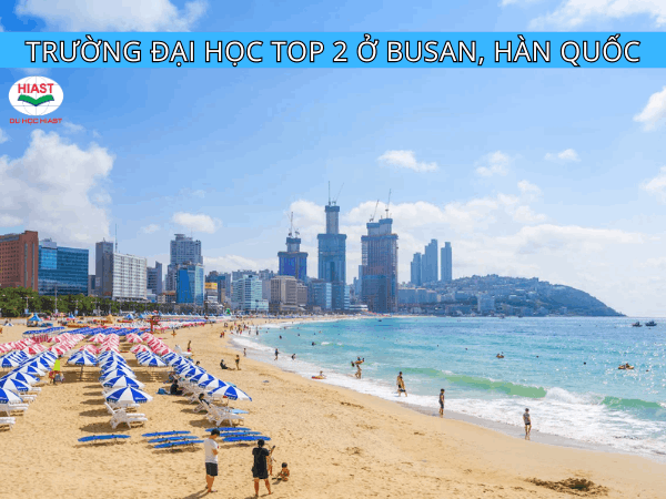 Trường TOP 2 Hàn Quốc ở Busan