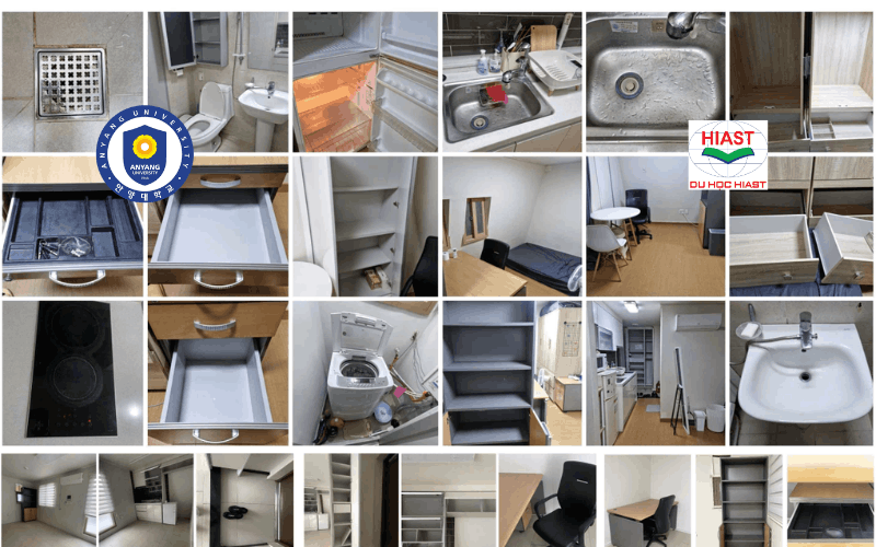 Anyang University top mấy