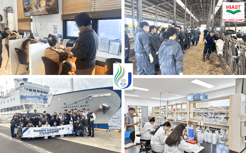 Đại học Quốc gia Jeju Hàn Quốc