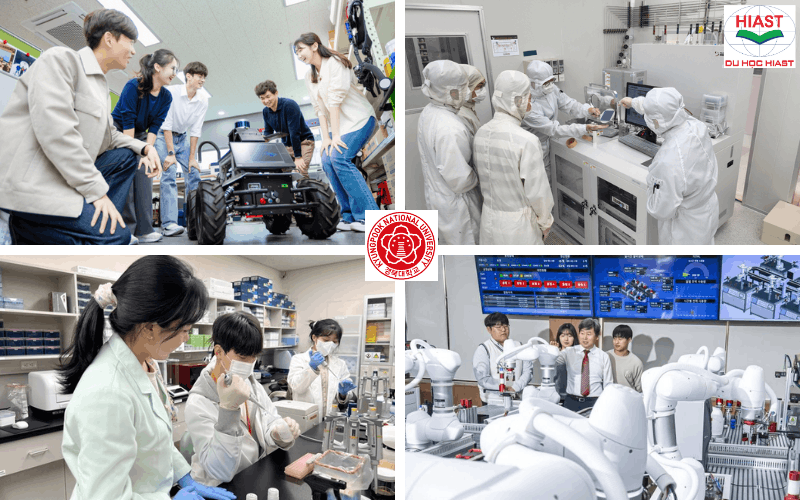 Đại học Quốc gia Kyungpook các ngành