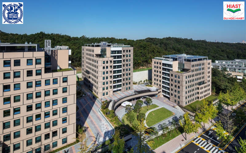 Đại học Quốc gia Seoul hệ thạc sĩ