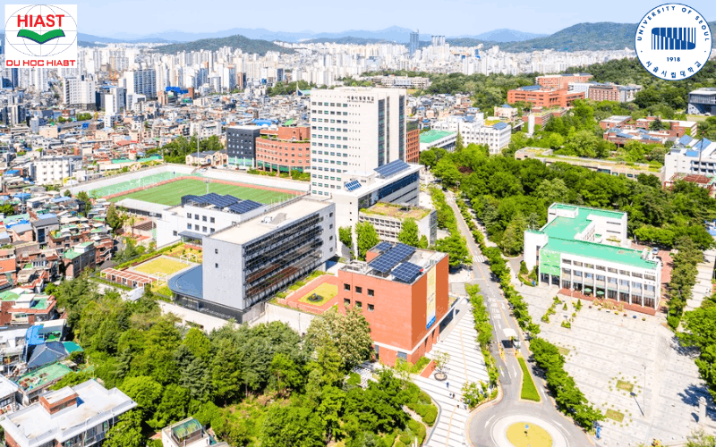 Đại Học Seoul Sirip