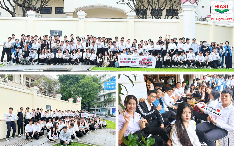 du học hàn quốc có những ngành gì​