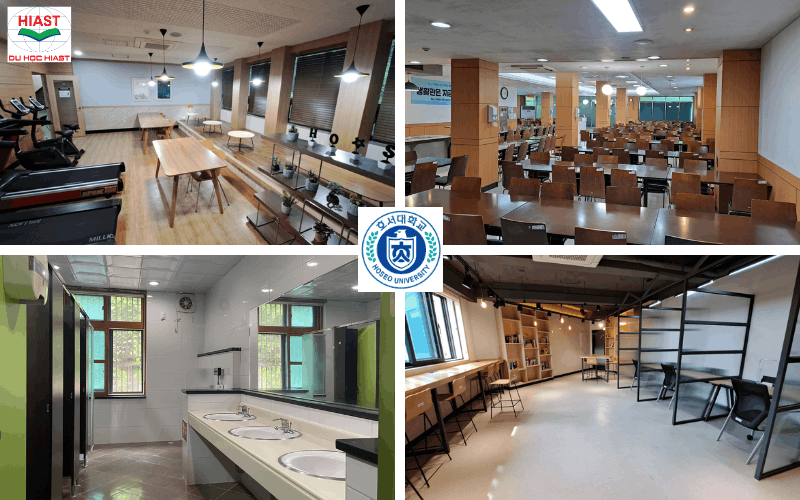 Giới thiệu Trường đại học Hoseo