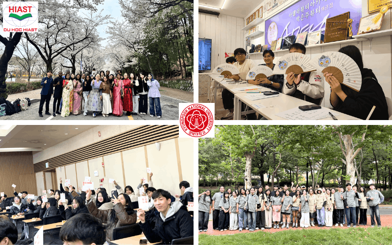 thông tin về đại học quốc gia kyungpook