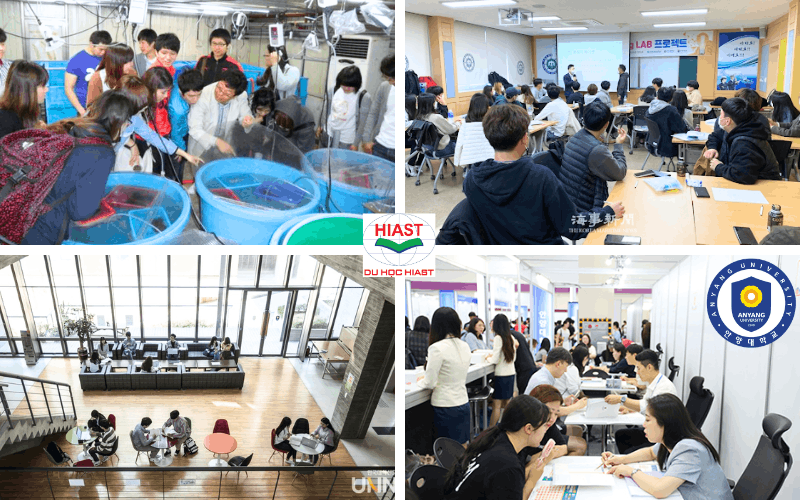 Trường Đại học Anyang Hàn Quốc