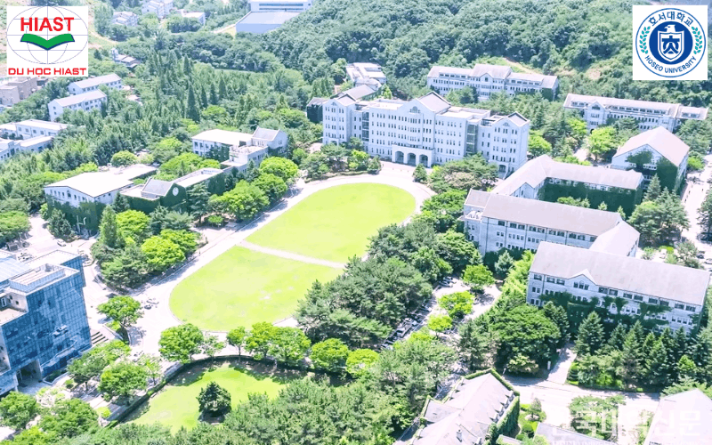 Trường Đại Học Hoseo