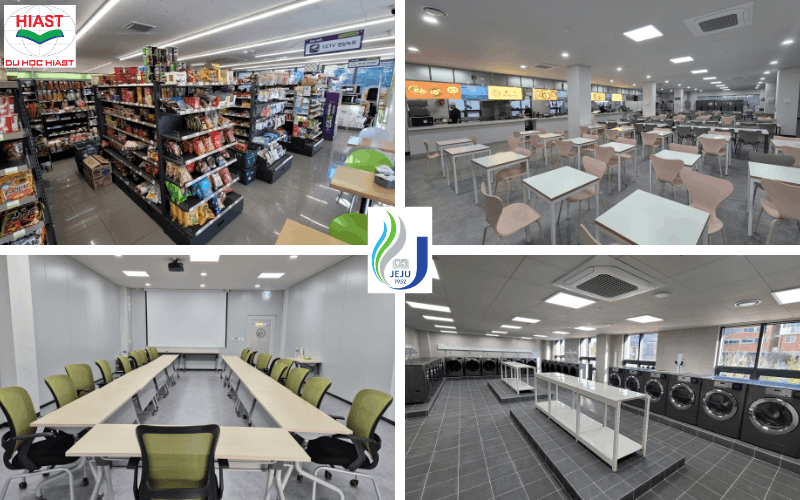 Trường Đại học ở đảo Jeju