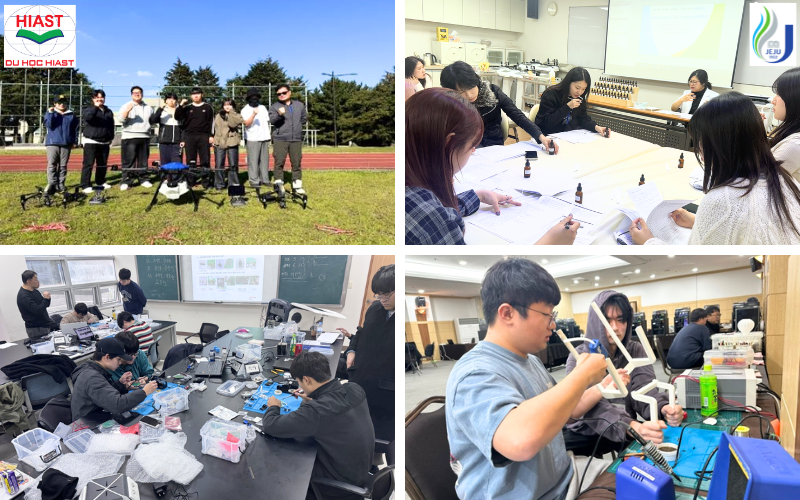 Trường Đại học Quốc gia Jeju các ngành