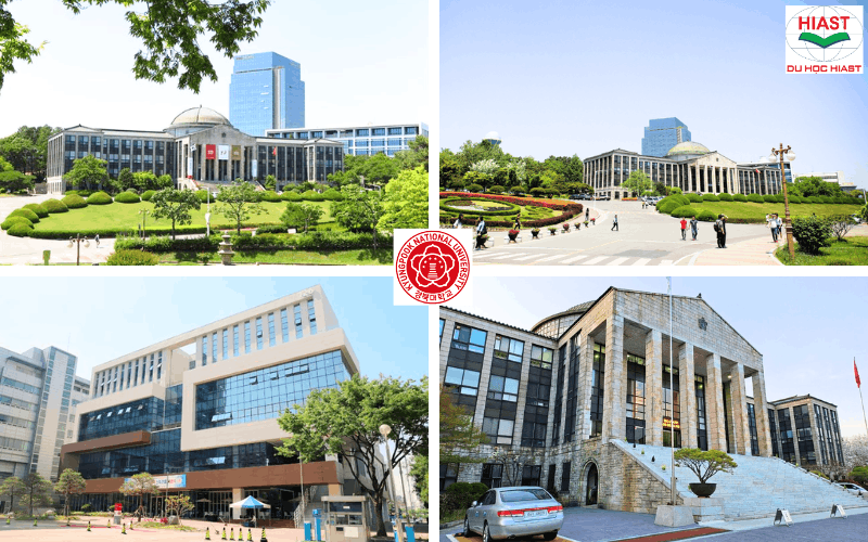 trường đại học quốc gia kyungpook​