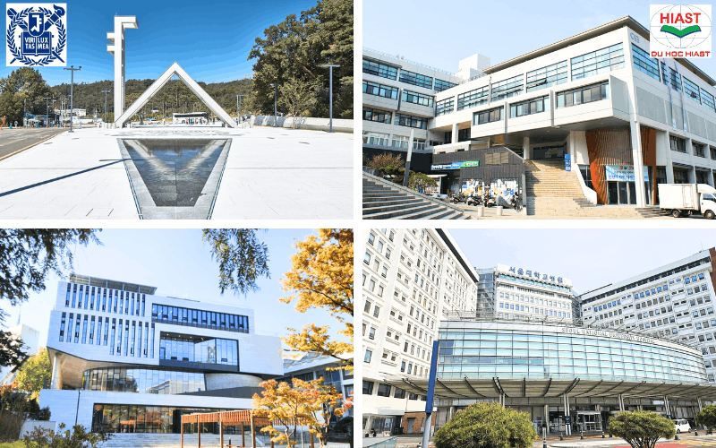 trường đại học quốc gia seoul