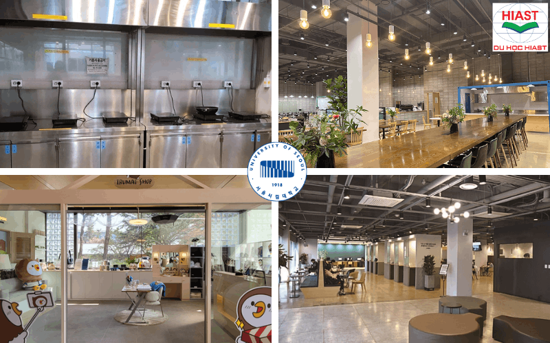 Trường Đại học Seoul Sirip Hàn Quốc