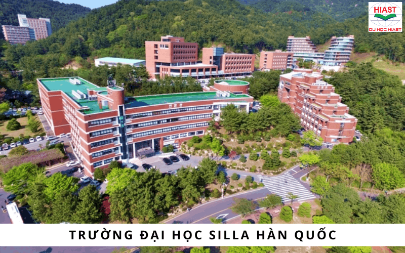 các trường đại học có học phí thấp ở busan