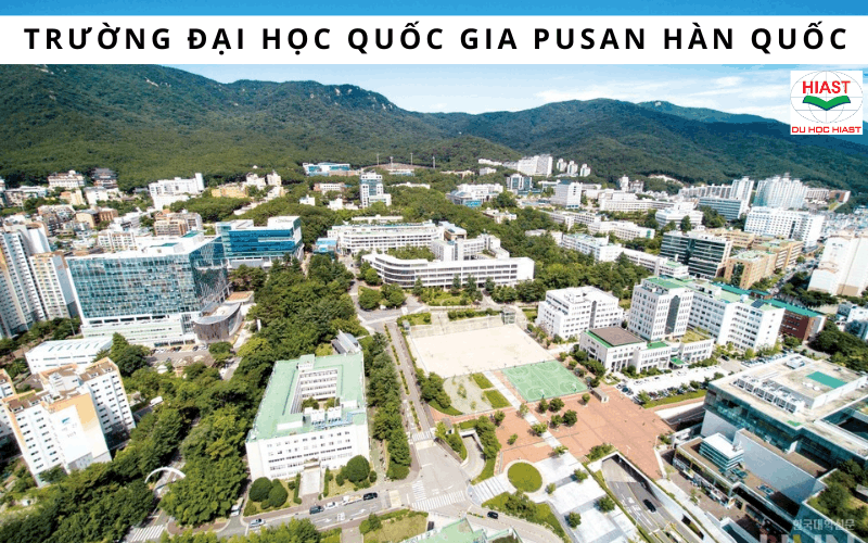 Các trường Đại học Công lập ở Busan