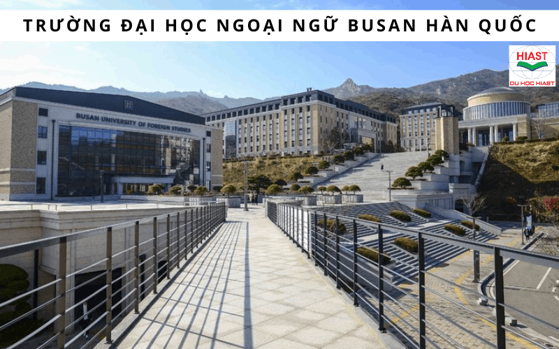 Các trường top 1 ở Busan