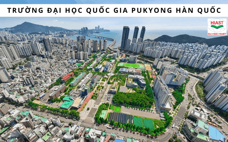 Các trường Top 2 ở Busan