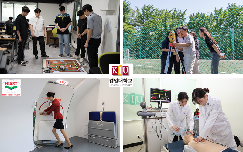 đại học kyungil các ngành