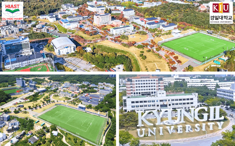 Đại Học Kyungil Hàn Quốc