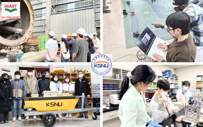 Đại học Quốc gia Kunsan các ngành