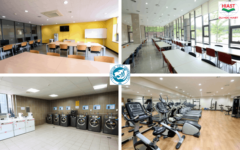 đại học yeungjin học phí
