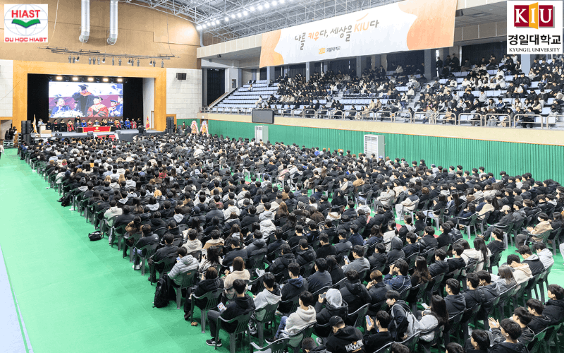 học bổng đại học kyungil