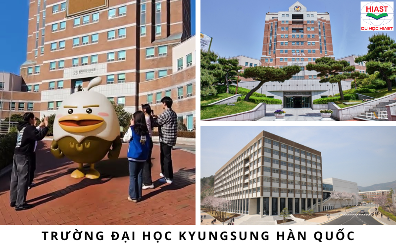 Trường Đại học Busan