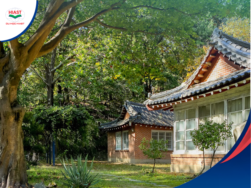 [2026] Trường Đại Học Hannam Hàn Quốc - 한남대학교