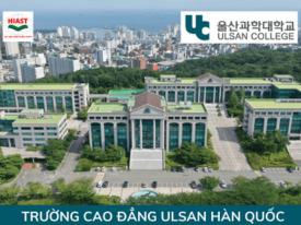 CAO ĐẲNG ULSAN HÀN QUỐC - TRƯỜNG CÓ TỶ LỆ Ở LẠI LÀM VIỆC CAO